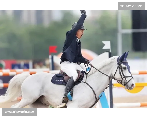 fei赛事;FEI赛事监管格言