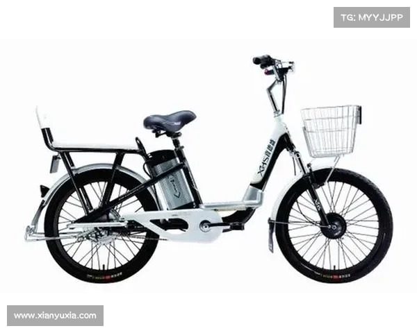 上海益骑电动车有限公司 上海益骑电动车有限公司