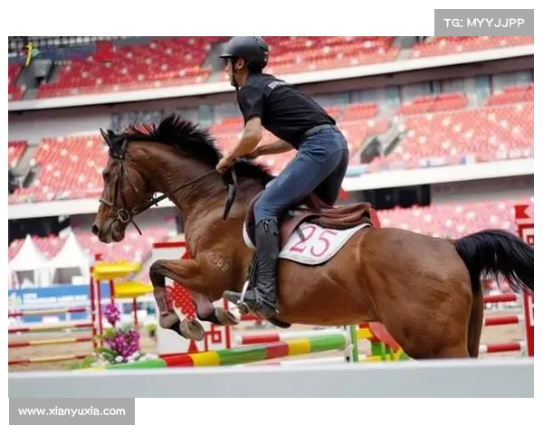 世界马术锦标赛