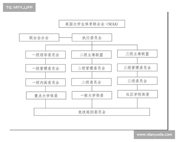 体育赛事执行手册 体育赛事执行包含哪些内容
