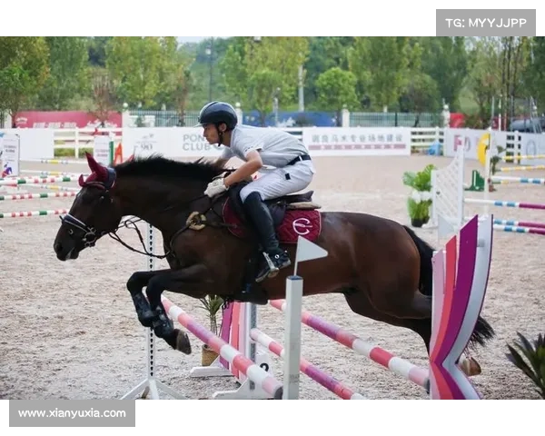 引领马术竞技新风尚缔造顶级赛事新辉煌的专业马术赛事公司