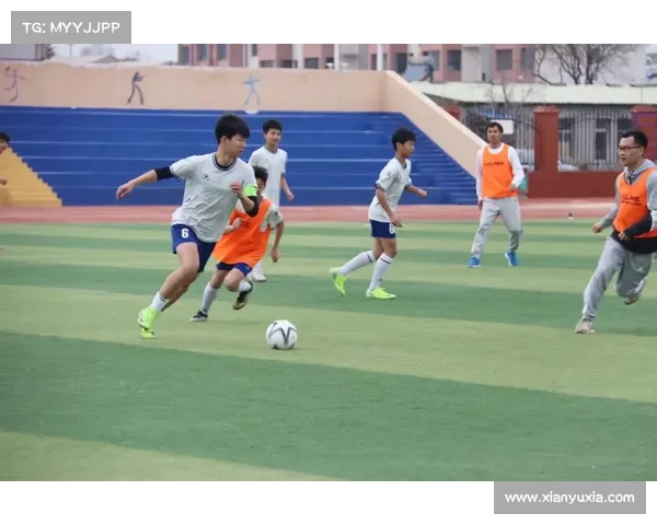 浙江比赛 浙江省2018年度体育赛事盛况全景展现选手拼搏精神与地方活力