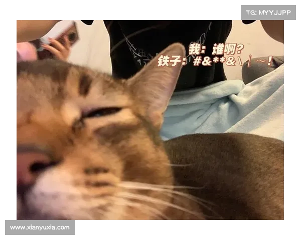 铁子给力表情包